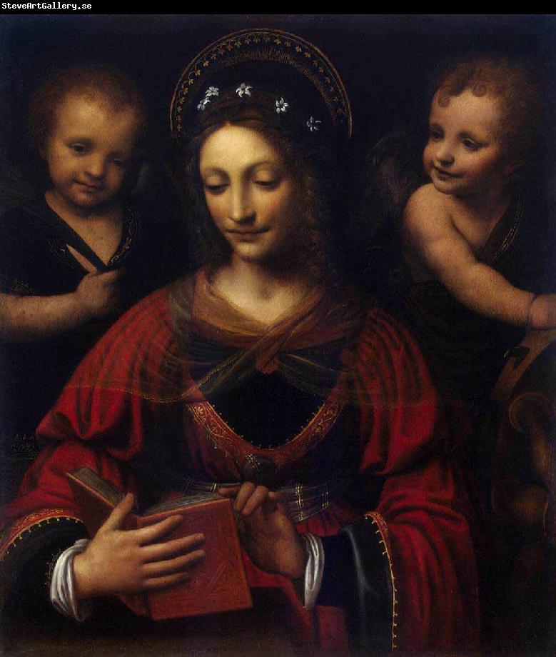 Bernardino Lanino Saint Catherine